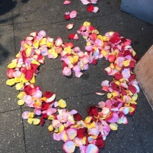 Meet your Posher, Meg